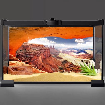 AWERT Stone Reptile Habitat Background Sky Oasis Mountain Cactus Sun and Desert Terrarium Background 24x16 inches Polyester Background - size: 24x16in/60x40cm