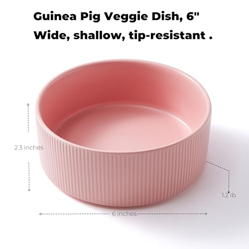 Guinea Pig Vegetable Bowl, 6 in Pink Ceramic Shallow Dish | Weighted Base, Approx. 20 fl oz Capacity, For Guinea Pigs, Chinchillas, Rabbits And Ferrets, Food Or Water