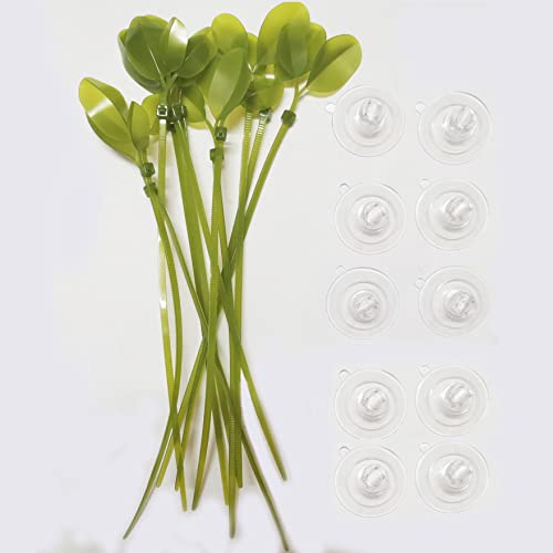 Aquarium Suction Cups and Leaf-Shaped Adjustable Cable Ties for Binding Moss Shrimp Dodging Nest, Suction Cups with Holes Aquarium Plants Holder (12)