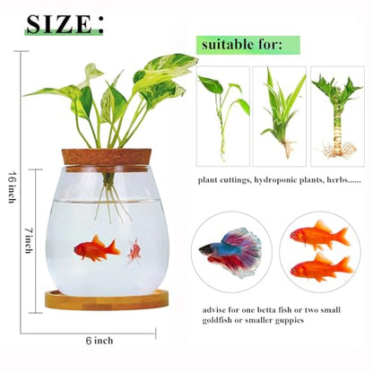 0.5 Gallon Fish Bowl Betta Fish Tank Glass Aquarium with Wood Lid & Bamboo Stand – Hydroponic Plants Planter, Glass Vase, Gift