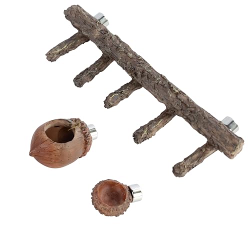 Jumping Spider Hideout and Feeding Dish, 3 in 1 Nut Shaped Hide Cave Sets for Spider Playing Feeding Climbing, Enclosure Accessories