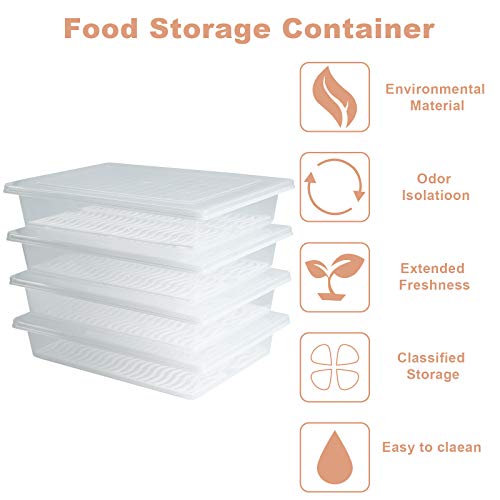 4PCS Food Storage Container, Plastic Food Containers Large | [With Removable Drain Plate and Lid], [Stackable Portable Freezer Storage Containers]-Tray to Keep Fruits, Vegetables, Meat - size: Large(4PCS)