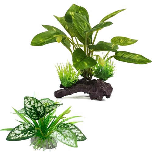 Moonorange Reptile Artificial Plants, Terrarium Plants Decorations Supplies, Aquarium Fish Tank Plant, Amphibian Habitat Hideout Tank Accessories (M Set-2pcs/E) - color: Ms Set-e