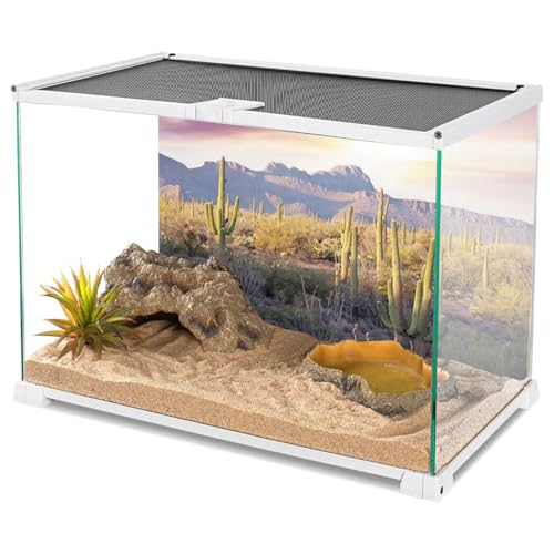 AWERT Reptile Habitat Background Blue Sky Oasis Mountain Cactus Sun and Desert Terrarium Background 72x24 inches - size: 72x24in/180x60cm