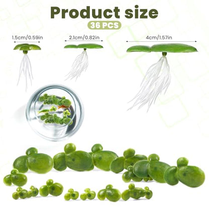 36 Pack Artificial Mini Duckweed with Root, Artificial Floating Plant Plastic Aquarium Simulation Floating Plants for Aquarium Tank Decor