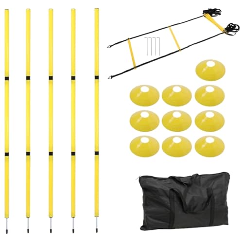 Agility Ladder Speed Training Kit, Soccer Training Equipment Set, PP Rung Agility Ladder Synthetic Disc Cones with Storage Bag - style: Yellow Agility Ladder Training