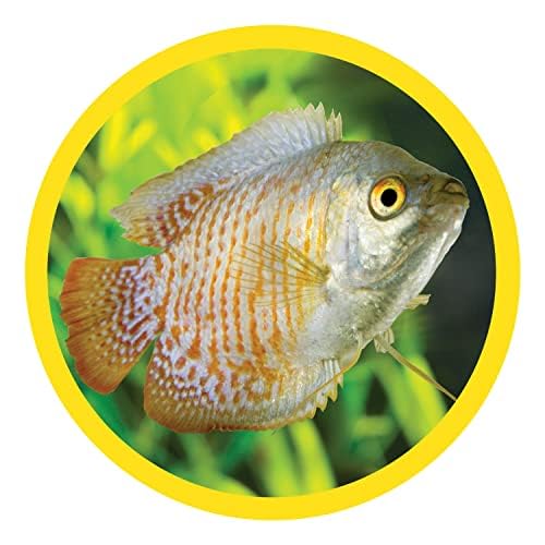 Marineland Bamboo 3 Feet, Décor For Aquariums and Terrariums