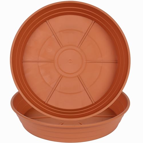 LWALRS Plant Saucer 14 Inch 2 Pack 6 8 10 12 14 16 18 20 25, Plastic Plant Trays for Pots，Extra-Deep Plant Water Dray Tray, Bird Bath Bowl, Heavy Flower Plant Saucers Indoors and Outdoor No Holes - color: Terracotta, size: 14in (2 Pack)