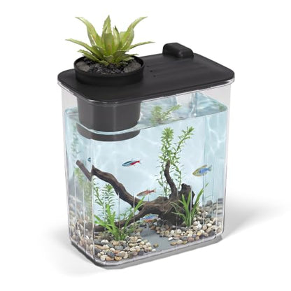 0.8 Gallon Betta Fish Tank Aquarium Starter Kit with Light and Lid(Black) | Premium Acrylic Aquarium with Light and Lid, Crystal Clear Starter Kit for Betta Fish, Shrimp, Snails and Small Fish - color: Black, size: 0.8 Gallon