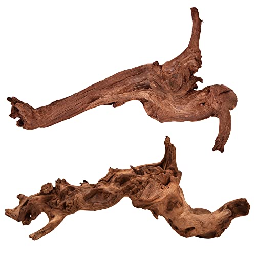 Natural Large Driftwood for Aquarium Decor Fish Tank Decor Reptile Decor | Assorted Driftwood Branch, Natural Driftwood for Aquascaping and Reptile Decor - size: Mopani Driftwood 12.5 to 18 Inch (Pack of 2)