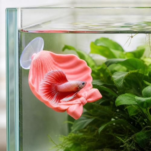 Betta Fish Hammock | Betta Fish Shell Bed, Floating Shell Shaped Suction Cup Pad, for Shrimp Snails Frogs Goldfishes Guppy Koi Reptile Pet Tank Aquariums Area Home - color: Pink