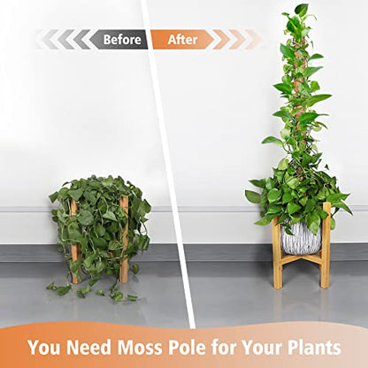 【4 Pack】 JJGoo Moss Pole, 17 inch Coco Coir Totem Poles Extending to 53 Inches, Plant Support Stick Plant Poles for Indoor Plants Climbing Plants Monstera, Sphagnum, Pothos - size: 4 Pack 17 inch