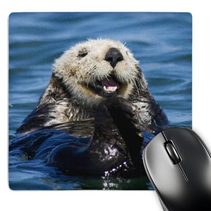 3dRose LLC 8 x 8 x 0.25 Inches Mouse Pad, California Sea Otter Moss Landing California Jim Goldstein (mp_88466_1)