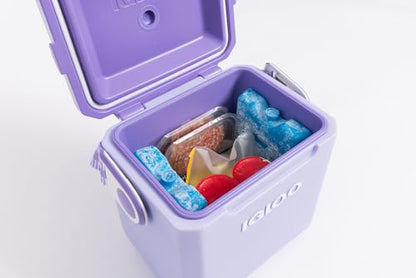Igloo Maxcold Ice Block - color: 2PK Large