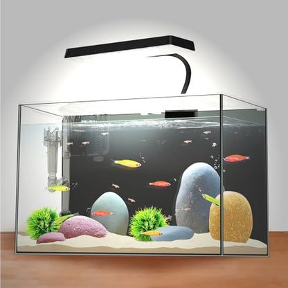 3 Gallon 12.6” L Fish Nano Glass Aquarium, with Separator Plate for Betta, Multi-Functional Square Fish Tank with Filter, LED Light, Black 4mm Glass