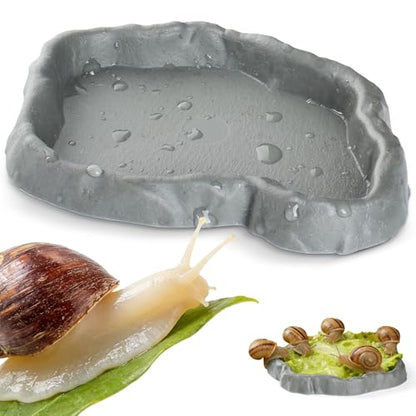 Snail Food and Water Bowl Terrarium Feeding Dish for Tank Supplies