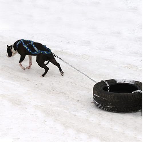 Dog Sled Harness Waterproof Nylon with Reflective Strips Durable Running Harness for Large Dogs (Red, M) - color: Red, size: M