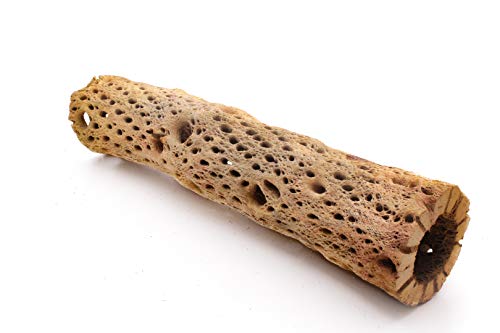 3, 6, 9, 12 Inch All Natural Teddy Bear Cholla Wood Extra Hollow Untreated Organic Aquarium Driftwood Decoration Chew Toy Shrimp Crab Cichlid Nano Tank Birds 1 or 5 Pieces (1 Piece, 12 inch) - size: 1 Piece, 12 inch