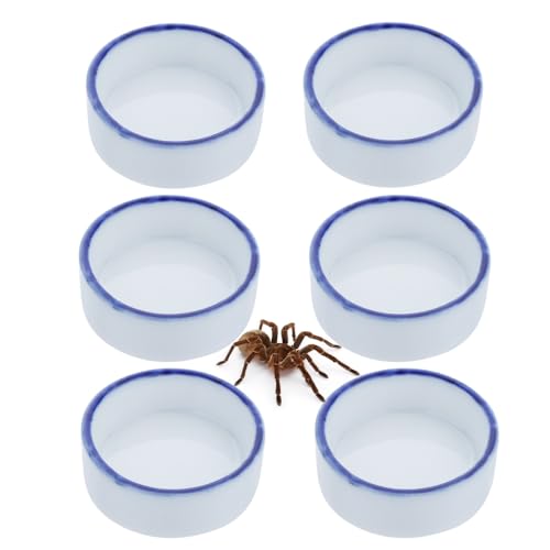 6 Pack Tarantula Ceramic Feeding Bowl Hermit Crab Water Bowl Spider Small Reptile Micro Ceramic Food Dish (1.37" D, 0.51" H)