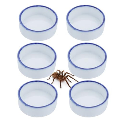 6 Pack Tarantula Ceramic Feeding Bowl Hermit Crab Water Bowl Spider Small Reptile Micro Ceramic Food Dish (1.37" D, 0.51" H)