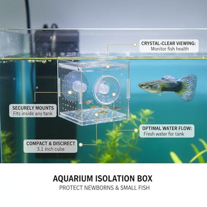 Aquarium Isolation Box, Clear Acrylic Internal Tank Divider for Fry and Small Fish, 3.1 x 3.1 x 3.1 Inch (1 PC)