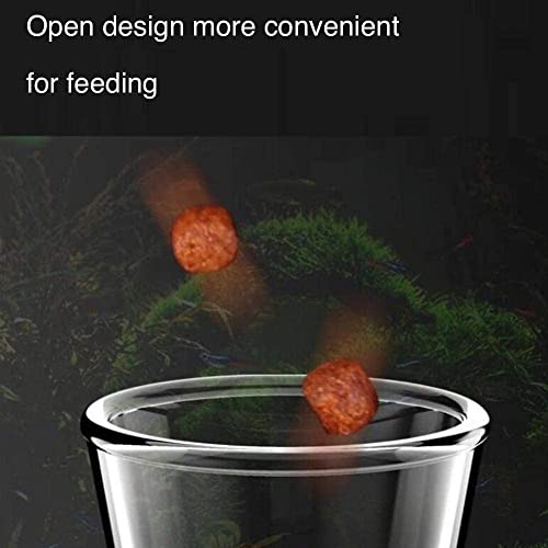 Aquarium Shrimp Feeding Tube and Dish, Clear Crystal Glass Shrimp Feeder Tube Tray for Fish, Clear Glass Aquarium Tube, Fish Tank Waterfall Pipe for Freshwater and Marine Aquarium (8 in)