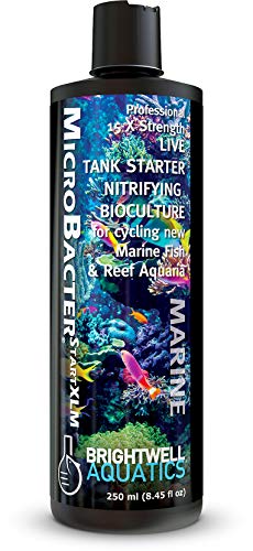 Brightwell Aquatics MicroBacter Start XLM - Concentrated Saltwater Nitrifying Bacteria - Quick Start Fish Tank Starter, Lift Microbe Levels & Water Filtering - Marine Aquarium Treatments, 8.45 fl oz - size: 250-ML