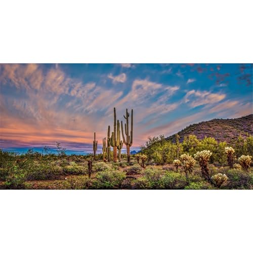 AWERT 36x20 inches Terrarium Background Blue Sky Cloud Huge Cactus Oasis Gobi Reptile Habitat Background Vinyl - size: 36x20in/90x50cm