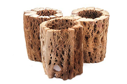 3 to 48 Inch All Natural Teddy Bear Cholla Wood Extra Hollow Large Untreated Organic Aquarium Driftwood Decoration Chew Toy Shrimp Crab Multi-Quantity (3 Pieces, 3 inch) - size: 3 Pieces, 3 inch
