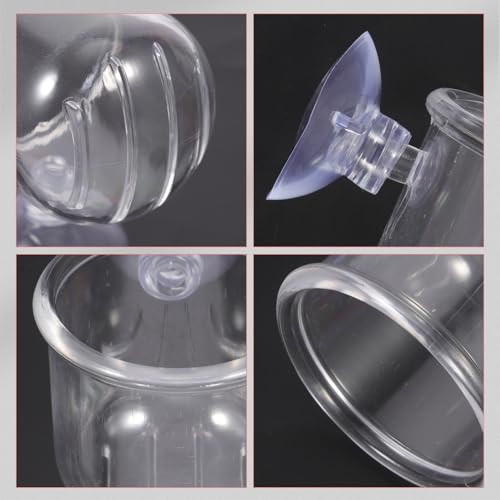 INOOMP 4pcs Aquarium Fish Feeder Cups with Suction Cups Removable Fish Food Holders Made of Water Glass Small and Large Sizes for Betta Feeding Accessories