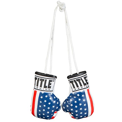 TITLE Boxing 3.5” Mini Boxing Gloves: Keyrings, Mini Boxing Gloves, Boxing Novelty Items, Boxing Gear - color: USA Flag