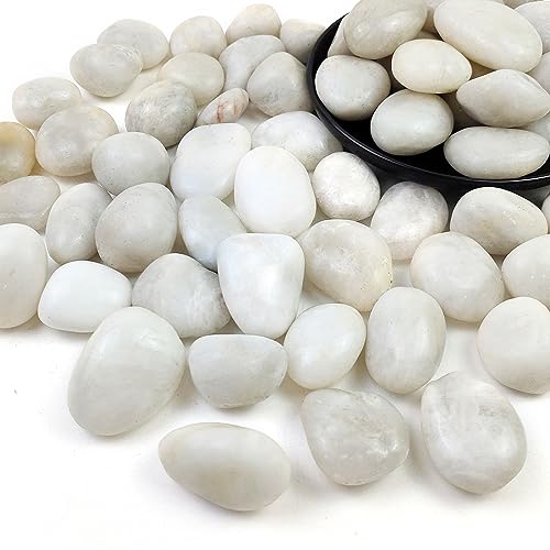 10LB White Pebbles for Plants,1-2.2 Inch Polished Stones for Indoor Pants, Decorative River Rocks for Landscaping. Succulents, Crafting,Fish Tank,Garden,Vase Filler, Outdoor Decoration - size: 10LB, style: White