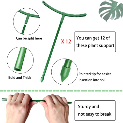 Belit 12 Pack Plant Support Stake, Half Round Plant Support Ring Plastic Plant Cage, Flower Pot Climbing Trellis for Clivia, Roses, Hydrangea, Indoor Plants, 5.5" Wide x 9.8" High - size: 5.5"x9.8"-12 Pack