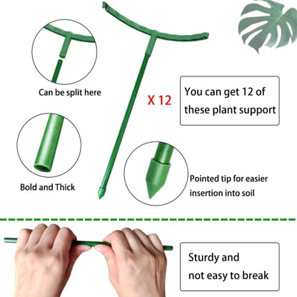 Belit 12 Pack Plant Support Stake, Half Round Plant Support Ring Plastic Plant Cage, Flower Pot Climbing Trellis for Clivia, Roses, Hydrangea, Indoor Plants, 5.5" Wide x 9.8" High - size: 5.5"x9.8"-12 Pack