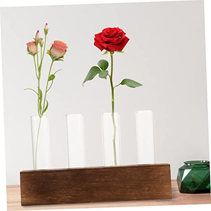Abaodam Glass Flower Tubes Cleaning Brush Plant Terrarium Air Plant Holder for Home Decor