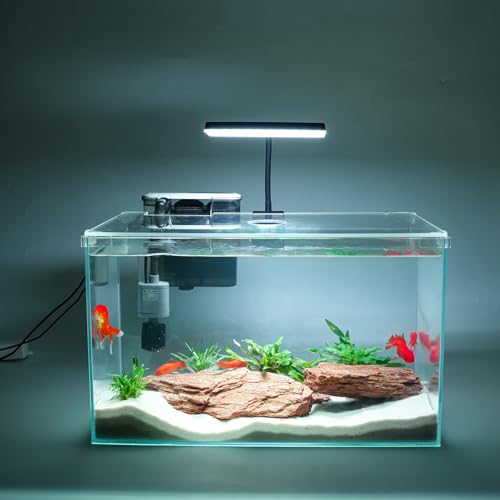 Vimvins 10 Gallon Glass Small Fish Tank with Filter Light and Lid, Aquarium Starter Kit - size: 10 Gallon