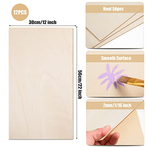 12 Pack 22 x 12 x 1/16 Inch-2 mm Thick Basswood Sheets for Crafts Unfinished Plywood Sheet Rectangular Craft Wood Sheet Boards for DIY Projects, Architecture Models, Engraving, Wood Burning, Staining - size: 22 x 12 inch
