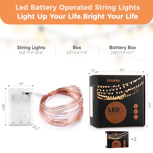 Ariceleo 2 Pack 16.4ft Battery Operated String Lights with Timer, Cool White with Synchronized Twinkle Mode, Fairy Lights Battery Powered, 50 LEDs, Idea for Christmas Bedroom Party Wedding - color: Cool White, size: 2 Pack-Upgrade