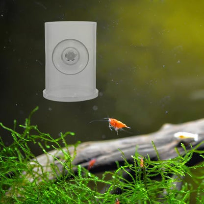 TEHAUX Fish Feeder Ring with Suction Cup Acrylic Shrimp Feeding Rack for Aquarium Tank Freshwater and Saltwater Fish Feeding Tool Vacation Feeder Station