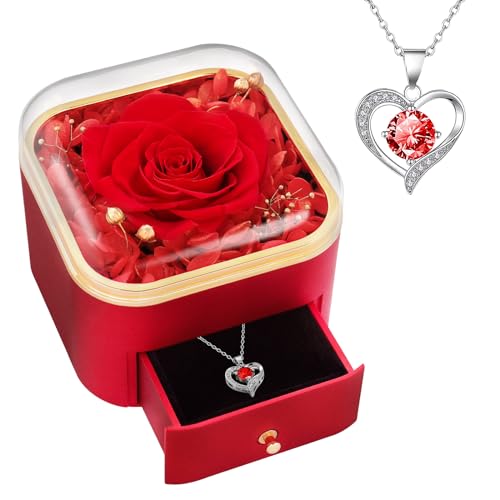 Beferr Gifts for Mom Preserved Real Rose with Red Necklace Eternal Roses Forever Flowers for Delivery Anniversary Birthday Mothers Day for Wife Mother Grandma Women Her Daughter Girlfriend - color: B Red