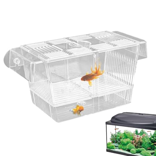 1/2 Fish Acclimation Box - Acrylic Hatchery Incubator Tank, Fish Breeder Box with 2 Suction Cups | Easily Install Breeding Isolation Box, Floating Breeding Box for Baby Fishes Shrimp Betta Guppy - size: Large