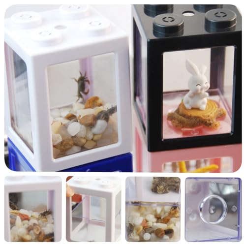 Mini Sea Monkey Tank, Small Shrimp Tank Stackable Mini Aquariums for Fairy Shrimp Eggs Moss Balls, 0.25 Gallon Temporary Betta Fish Tank Ant Feeding Case Mini Reptile Tank - color: Black