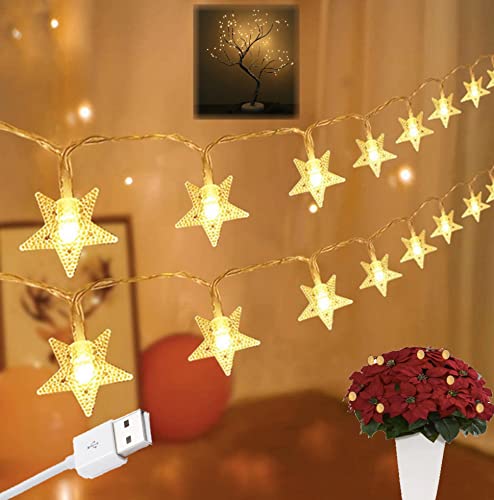 Ramadan & Eid Twinkle Star String Lights - Indoor Cool Safe USB Bright Star Lights for Festive Decoration (20pc Star WW) - color: 20pc Moon Masjid Warm White