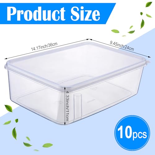 Suzile 10 Pcs Plastic Tub with Lids 14.17 x 9.45 x 4.33 Inch Commercial Tote Box Deep Restaurant Containers with Lids Fish Food Service Bus Tubs for Meat Storage Washing Dishes Art Supplies Toy(Clear) - color: clear