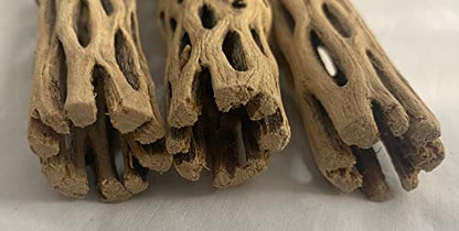 Awesome Aquatic Natural Cholla Choya Wood 5 Pieces 6” for Shrimp Habitat and Food Treat Hermit Crabs Plecos Aquarium Decoration Lowers pH Hideouts and Chew Toys Reptiles Thorn Free Dried Organic - size: 5 pc 6 inch