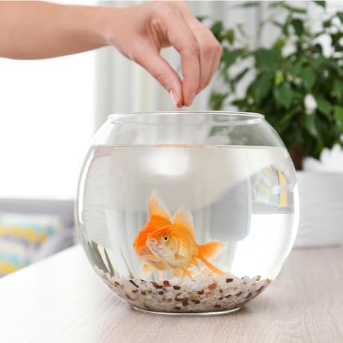 SynHHergyx Plastic Fish Bowl 30 oz Decorative Small Mini Fishbowl Round Plastic Aquarium Fish Bowls Unbreakable Heavy Duty Bowl for Centerpiece Vases, Party Decorations, Pack of 1