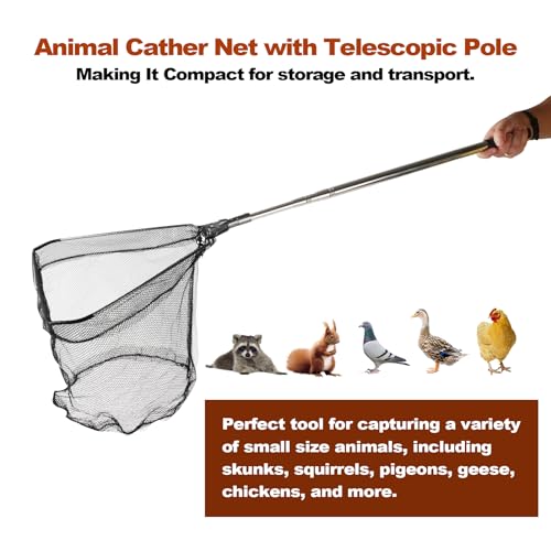 Chicken Catching Net, Animal Catch with Extendable 46In Long Handle | Landing Nets for Bird, Ducks, Cat, Dogs, Frog, Fishnet, Chicken Catcher for Poultry Supplies - Stainless Steel