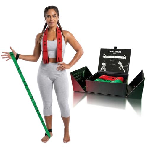 Two8 Bandz Fabric Resistance Bands with Handles and AI Coaching App | Multi-Loop Workout Band for Stretching, Mobility, and Strength Training, Adjustable Resistance Bands for Working Out