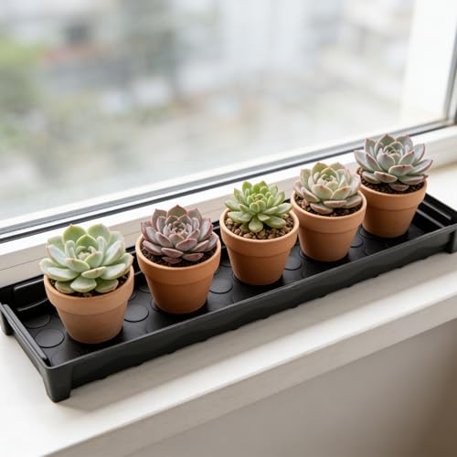 5 Pack Plastic Window Sill Saucer, Rectangular Windowsill Plant Pot Trays with Removable Drainage Hole, Thick Plant Saucer Tray for 2.8 inch Flower Seedling Pots (17.5"x3"x1.5") - size: 17.5"x3"x1.5"