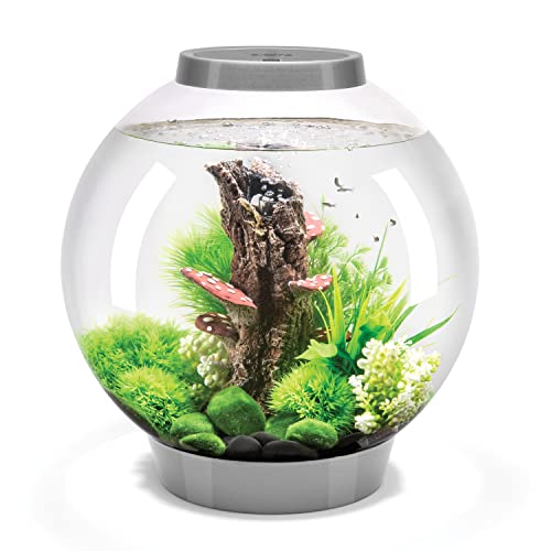 biOrb Classic 30 Acrylic 8-Gallon Aquarium with White LED Lights Modern Tank for Tabletop Display, Silver - color: Silver, size: 8 Gallon, style: LED Lighting